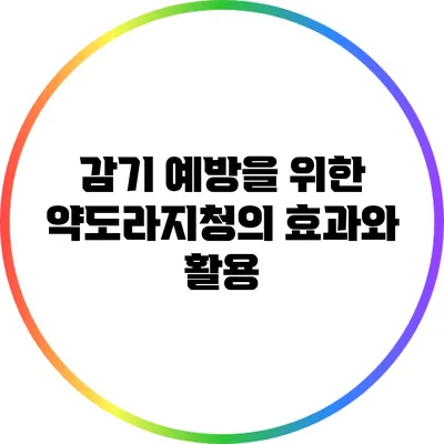 감기 예방을 위한 약도라지청의 효과와 활용