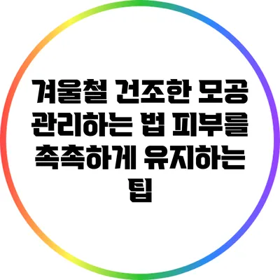 겨울철 건조한 모공 관리하는 법: 피부를 촉촉하게 유지하는 팁