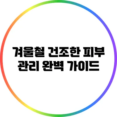 겨울철 건조한 피부 관리 완벽 가이드