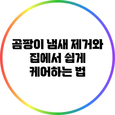 곰팡이 냄새 제거와 집에서 쉽게 케어하는 법