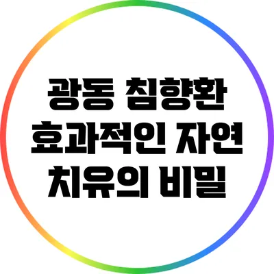 광동 침향환: 효과적인 자연 치유의 비밀