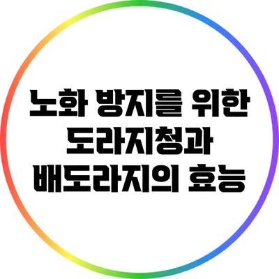 노화 방지를 위한 도라지청과 배도라지의 효능