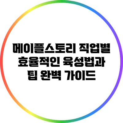 메이플스토리 직업별 효율적인 육성법과 팁 완벽 가이드