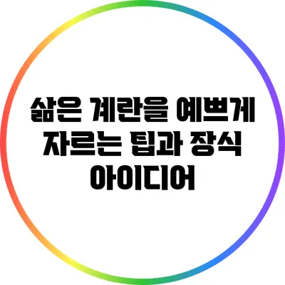 삶은 계란을 예쁘게 자르는 팁과 장식 아이디어