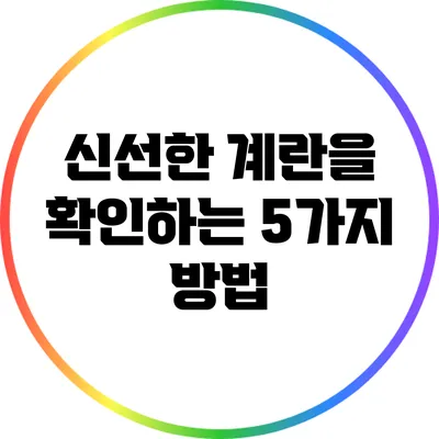 신선한 계란을 확인하는 5가지 방법