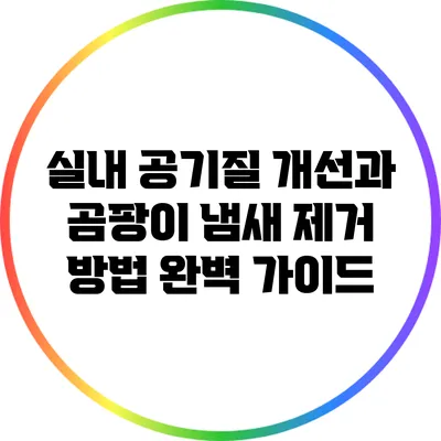 실내 공기질 개선과 곰팡이 냄새 제거 방법 완벽 가이드