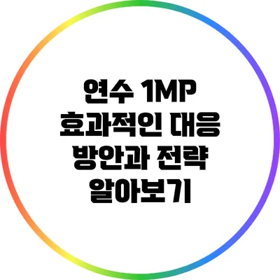 연수 1MP: 효과적인 대응 방안과 전략 알아보기