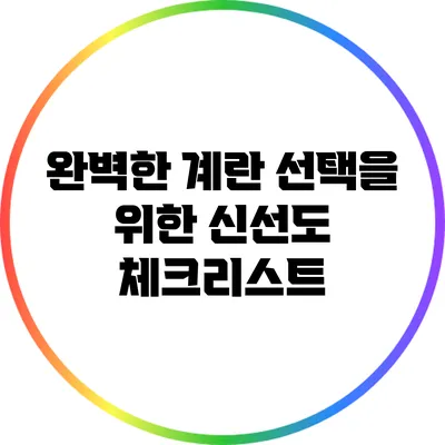 완벽한 계란 선택을 위한 신선도 체크리스트