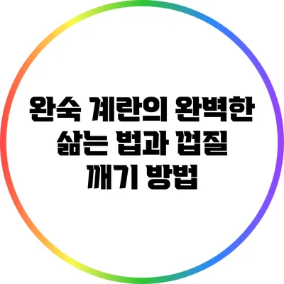 완숙 계란의 완벽한 삶는 법과 껍질 깨기 방법