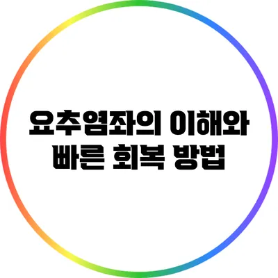 요추염좌의 이해와 빠른 회복 방법