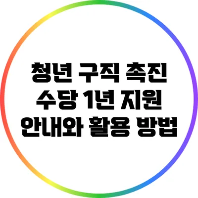 청년 구직 촉진 수당: 1년 지원 안내와 활용 방법