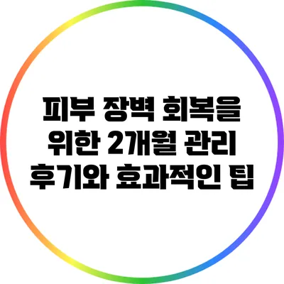 피부 장벽 회복을 위한 2개월 관리 후기와 효과적인 팁