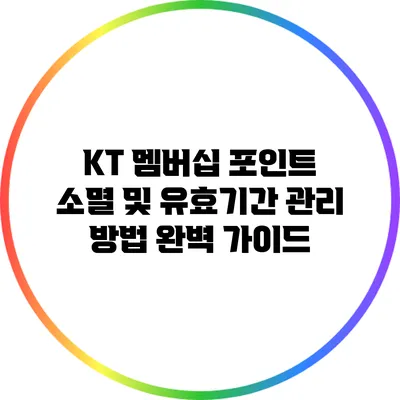 KT 멤버십 포인트 소멸 및 유효기간 관리 방법 완벽 가이드