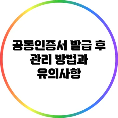 공동인증서 발급 후 관리 방법과 유의사항