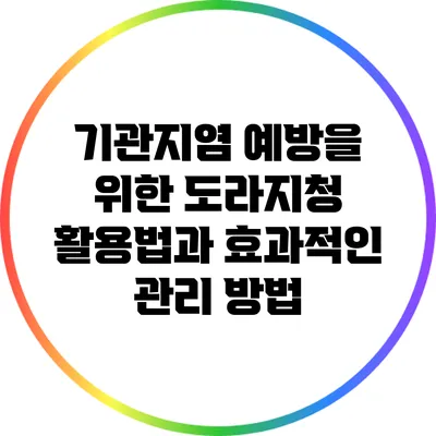 기관지염 예방을 위한 도라지청 활용법과 효과적인 관리 방법