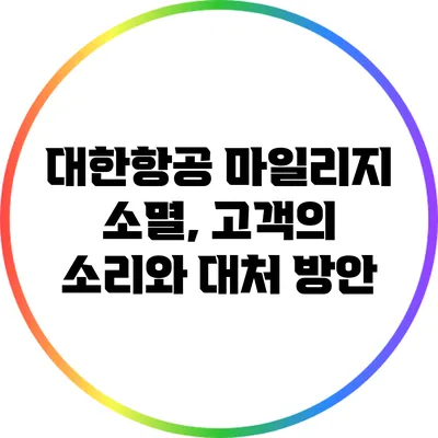 대한항공 마일리지 소멸, 고객의 소리와 대처 방안