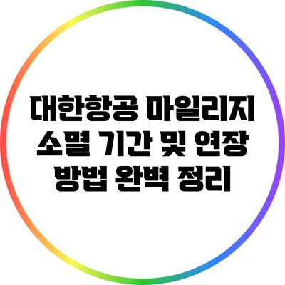 대한항공 마일리지 소멸 기간 및 연장 방법 완벽 정리