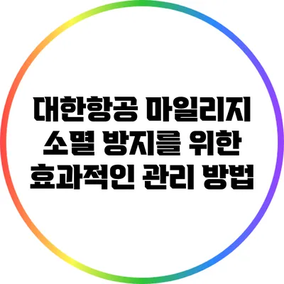 대한항공 마일리지 소멸 방지를 위한 효과적인 관리 방법