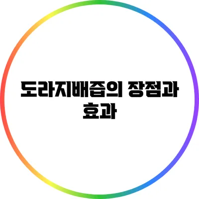 도라지배즙의 장점과 효과