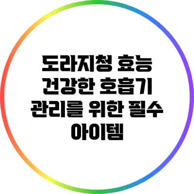 도라지청 효능: 건강한 호흡기 관리를 위한 필수 아이템