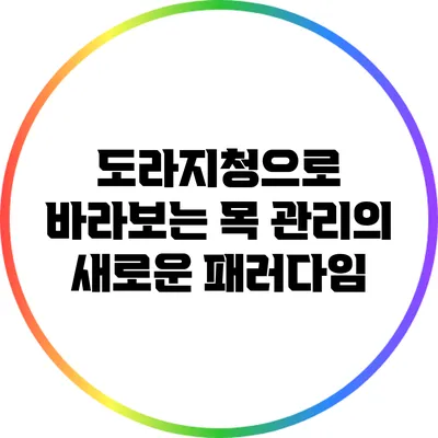 도라지청으로 바라보는 목 관리의 새로운 패러다임