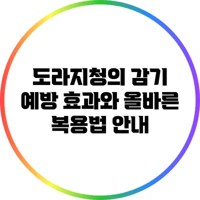 도라지청의 감기 예방 효과와 올바른 복용법 안내