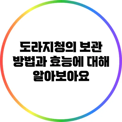 도라지청의 보관 방법과 효능에 대해 알아보아요