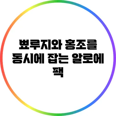 뾰루지와 홍조를 동시에 잡는 알로에 팩