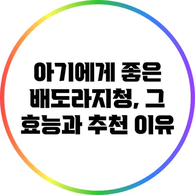 아기에게 좋은 배도라지청, 그 효능과 추천 이유