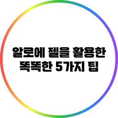 알로에 젤을 활용한 똑똑한 5가지 팁