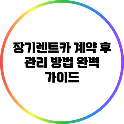 장기렌트카 계약 후 관리 방법 완벽 가이드