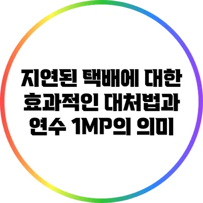 지연된 택배에 대한 효과적인 대처법과 연수 1MP의 의미