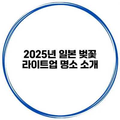 2025년 일본 벚꽃 라이트업 명소 소개