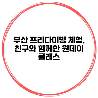부산 프리다이빙 체험, 친구와 함께한 원데이 클래스