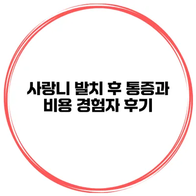 사랑니 발치 후 통증과 비용 경험자 후기